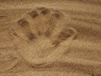 Активисты заявили о воровстве дюн с пляжа в Петербурге (фото) - rosbalt.ru - Санкт-Петербург - район Курортный