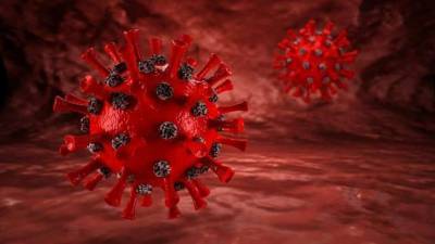 Ученые установили основную причину смертей от гриппа - lenta.ua