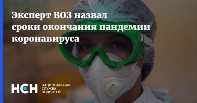Андрей Демин - Эксперт ВОЗ назвал сроки окончания пандемии коронавируса - nsn.fm - Россия