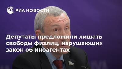 Андрей Климов - Депутаты предложили лишать свободы физлиц, нарушающих закон об иноагентах - ria.ru - Москва