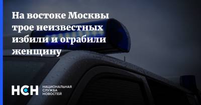 На востоке Москвы трое неизвестных избили и ограбили женщину - nsn.fm - Москва