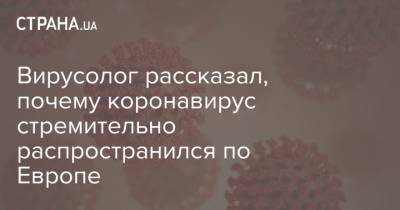 Вирусолог рассказал, почему коронавирус стремительно распространился по Европе - strana.ua - Китай - Италия - Германия