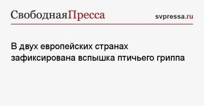 В двух европейских странах зафиксирована вспышка птичьего гриппа - svpressa.ru - Норвегия - Бельгия - Франция