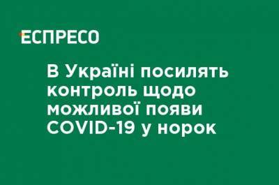 Владислава Магалецкая - В Украине усилят контроль за возможным появлением COVID-19 у норок - ru.espreso.tv - Украина