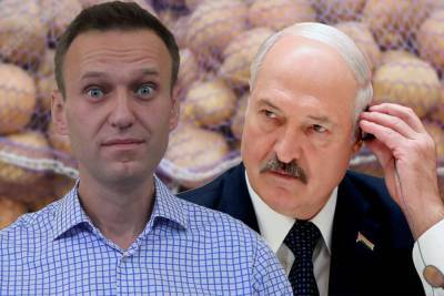 Алексей Навальный - Владимир Милов - Навальный с подельниками подсказывают ЕС, как додавить Лукашенко - politnavigator.net - Россия - Белоруссия - Ес
