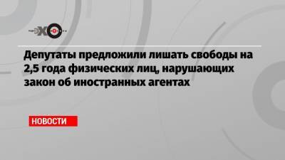 Андрей Климов - Депутаты предложили лишать свободы на 2,5 года физических лиц, нарушающих закон об иностранных агентах - echo.msk.ru