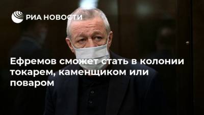 Михаил Ефремов - Павел Мамаев - Александр Кокорин - Ефремов сможет стать в колонии токарем, каменщиком или поваром - ria.ru - Белгородская обл. - Белгород - Ярославль - Алексеевка