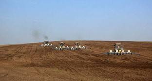 Пострадавшие от засухи калмыцкие фермеры посчитали недостаточной помощь властей - kavkaz-uzel.eu - респ. Калмыкия