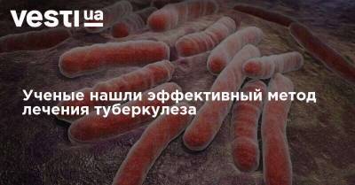 Ученые нашли эффективный метод лечения туберкулеза - vesti.ua