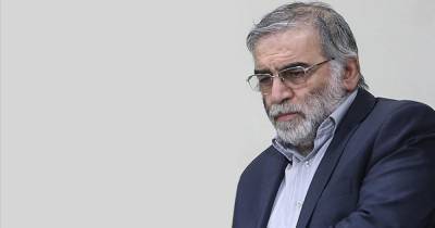 Жозеп Боррель - Мохсен Фахризаде - Евросоюз осудил убийство ученого-ядерщика в Иране - ren.tv - Иран - Тегеран