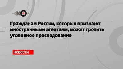 Андрей Климов - Гражданам России, которых признают иностранными агентами, может грозить уголовное преследование - echo.msk.ru - Россия