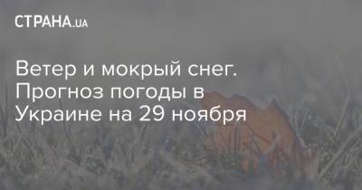 Наталья Диденко - Ветер и мокрый снег. Прогноз погоды в Украине на 29 ноября - strana.ua - Украина