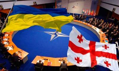 Джо Байден - Грузия и Украина могут стать членами НАТО — экс-советник главы Госдепа - news-front.info - Россия - США - Украина - Армения - Молдавия - Грузия - Азербайджан