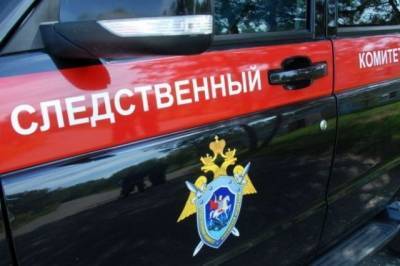 По факту гибели мужчины под колесами БТР в Петербурге завели уголовное дело - aif.ru - Санкт-Петербург - район Красносельский