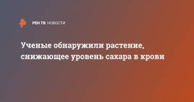 Ученые обнаружили растение, снижающее уровень сахара в крови - ren.tv - Воронеж