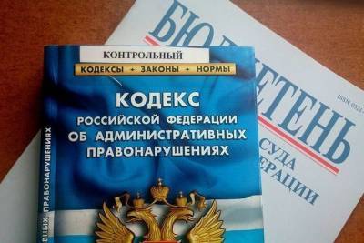 Дело Дудок в Иванове дошло до суда: предприниматели не согласны с драконовскими проверками - mkivanovo.ru