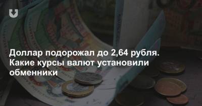 Доллар подорожал до 2,64 рубля. Какие курсы валют установили обменники - news.tut.by