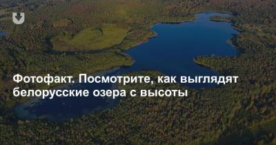 Фотофакт. Посмотрите, как выглядят белорусские озера с высоты - news.tut.by - Белоруссия - Минск - район Полоцкий - Полоцк