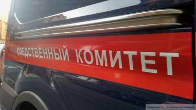 Исчезнувшую жительницу Коми нашли мертвой спустя четыре дня - inforeactor.ru - респ. Коми - Сосногорск