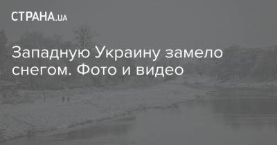 Наталья Диденко - Западную Украину замело снегом. Фото и видео - strana.ua - Украина - Луцк - Ужгород