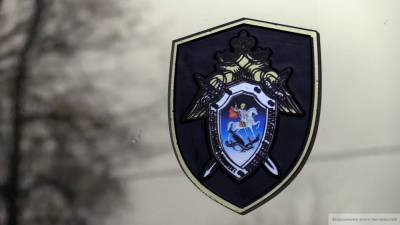 Полиция возбудила дело об убийстве женщины-парикмахера в Татарстане - nation-news.ru - респ. Татарстан - Зеленодольск