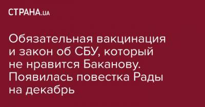 Михаил Радуцкий - Галина Третьякова - Обязательная вакцинация и закон об СБУ, который не нравится Баканову. Появилась повестка Рады на декабрь - strana.ua - Украина