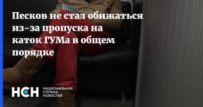 Дмитрий Песков - Песков не стал обижаться из-за пропуска на каток ГУМа в общем порядке - nsn.fm - Россия