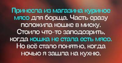 Что сделала хозяйка, когда заметила, что куриная тушка светится в темноте - skuke.net - Украина