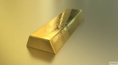 Предприятия Чукотки добыли за год более 20 тонн золота - riafan.ru - Россия - Чукотка - Анадырь