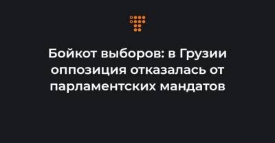 Ника Мелия - Бойкот выборов: в Грузии оппозиция отказалась от парламентских мандатов - hromadske.ua - Грузия