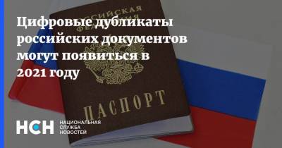 Максут Шадаев - Цифровые дубликаты российских документов могут появиться в 2021 году - nsn.fm - Россия