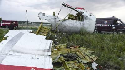 Хендрик Стинхейс - Суд по делу MH17 направил запросы по докладам «Алмаз-Антея» - iz.ru - Россия - Голландия