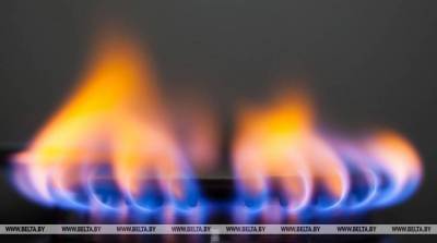 Елена Бурмистрова - Избыток газа на европейском рынке сохраняется - "Газпром экспорт" - smartmoney.one - Италия
