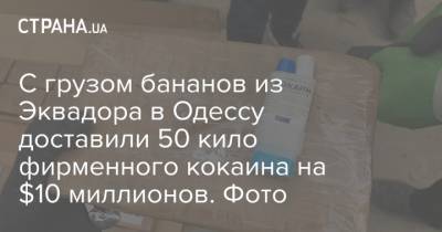 С грузом бананов из Эквадора в Одессу доставили 50 кило фирменного кокаина на $10 миллионов. Фото - strana.ua - Украина - Одесса - Эквадор - Южный - Новости Одессы