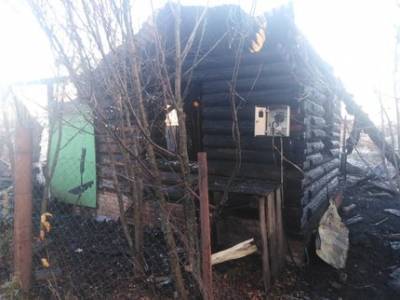 В Башкирии в пожаре погибла молодая семья - ufatime.ru - Башкирия - район Уфимский
