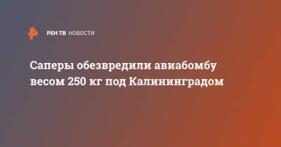Саперы обезвредили авиабомбу весом 250 кг под Калининградом - ren.tv - Россия - Санкт-Петербург - Калининград