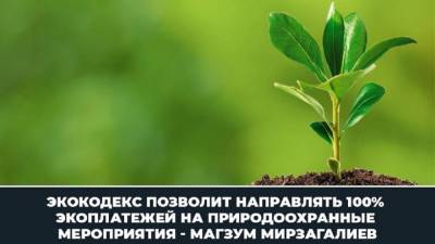 Магзум Мирзагалиев - Мирзагалиев: Экокодекс позволит направлять 100% экоплатежей на природоохранные мероприятия - zakon.kz - Казахстан