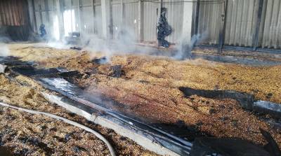 В Лельчицком районе при возгорании сушилки спасено 6 т кукурузы - belta.by - Гомель - район Лельчицкий