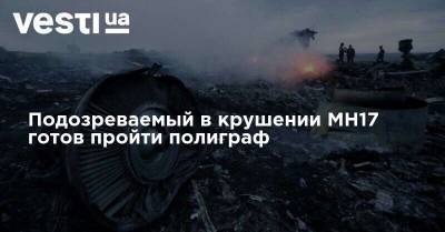 Сергей Дубинский - Подозреваемый в крушении MH17 готов пройти полиграф - vesti.ua - Россия - Украина - Голландия