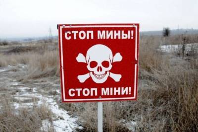 Владимир Зеленский - Петер Маурер - Красный Крест назвал Украину одной из самых заминированных территорий мира - vkcyprus.com - Украина - Донбасс
