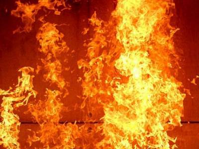 На Днепропетровщине выгорело пять коттеджных домов - golos.ua - Украина - район Петриковский