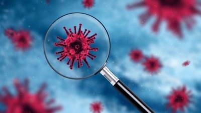 Арег Тотолян - Ученые выяснили, как долго в организме могут «жить» антитела к коронавирусу - 5-tv.ru - Санкт-Петербург