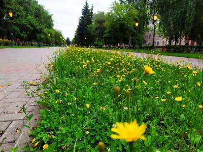 Юбилейный бульвар преобразится к 800-летию Нижнего Новгорода - vgoroden.ru - Нижний Новгород - район Сормовский - Благоустройство