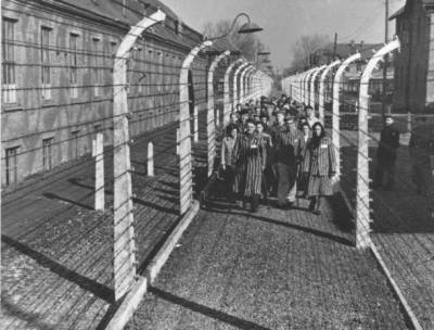 78 лет назад была создана специальная комиссия для расследования преступлений нацистов - vpk-news.ru - Минская обл.