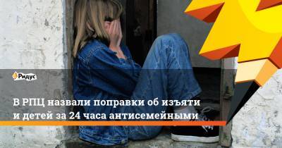 Федор Лукьянов - ВРПЦ назвали поправки обизъятии детей за24 часа антисемейными - ridus.ru