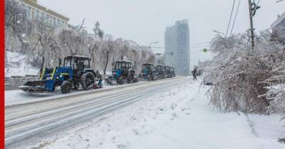Вера Щербина - Ущерб от ледяного циклона в Приморье оценили в 290 млн рублей - profile.ru - Приморье край - Владивосток