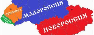 Остап Дроздов - Галичане шокированы результатами выборов и готовятся к отделению... - politnavigator.net - Украина - Киев