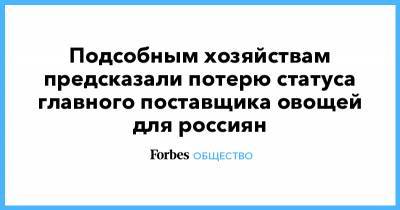 Михаил Глушков - Подсобным хозяйствам предсказали потерю статуса главного поставщика овощей для россиян - forbes.ru - Россия