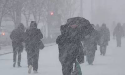 Непогода врывается в Одессу, объявлено штормовое предупреждение: "снег, ветер и ..." - odessa.politeka.net - Одесса