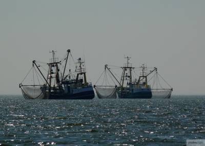 Рыбаки из Латвии вынуждены бежать в Россию от безработицы - politros.com - Россия - Латвия
